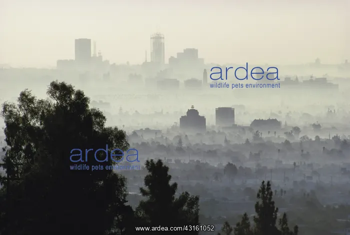 : Air Pollution over LA : Air Pollution over LA
