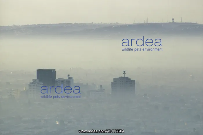 : Air Pollution over LA : Air Pollution over LA