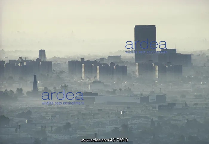 : Air Pollution over LA : Air Pollution over LA