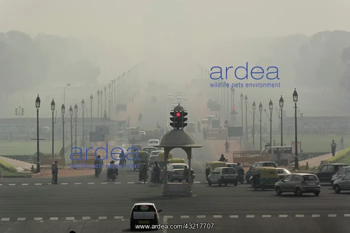 : Air pollution, New Delhi, India : Air pollution, New Delhi, India