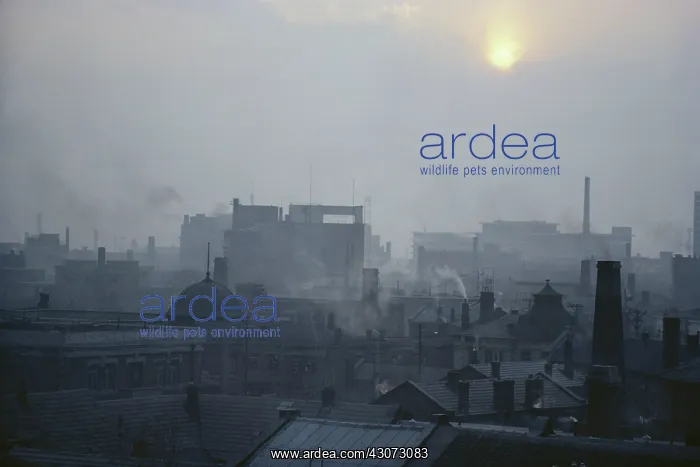 : Air Pollution Over Shenyang : Air Pollution Over Shenyang