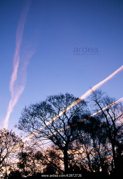  : AIRCRAFT  /  Aeroplane - Vapour trails