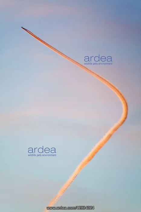  : Aircraft contrail  /  vapour trail - at sunset