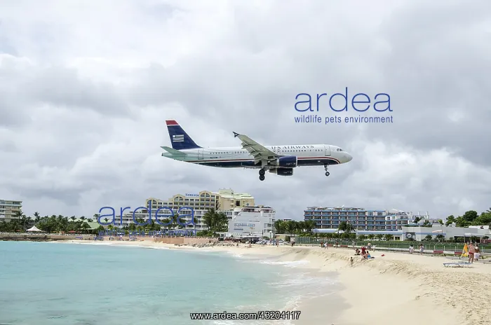 : Airliner landing at Saint Martin airport, West Indies : Airliner landing at Saint Martin airport, West Indies