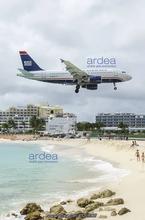 : Airliner landing at Saint Martin airport, West Indies : Airliner landing at Saint Martin airport, West Indies