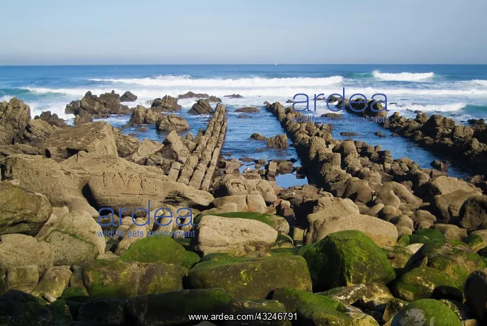 : Aizkorri beach. Biscay, Basque Country : Aizkorri beach. Biscay, Basque Country