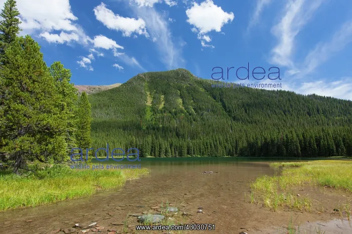  : Akamina Lake