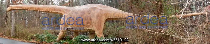 : Alamosaurus reconstruction : Alamosaurus reconstruction