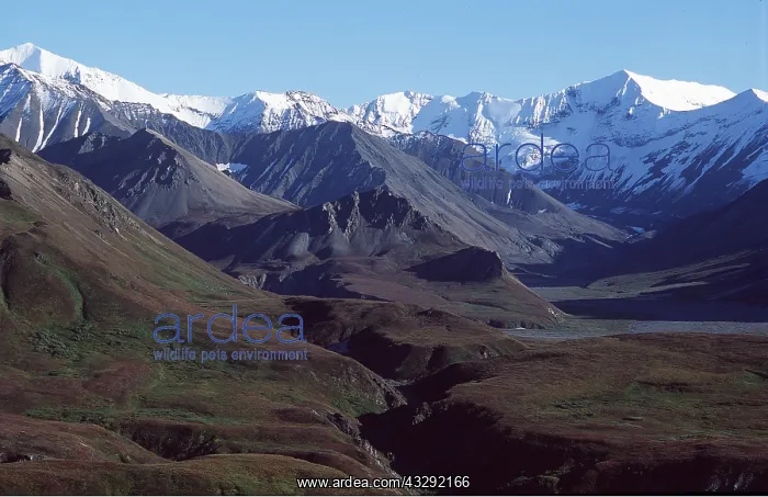  : Alaska - Denali National Park
