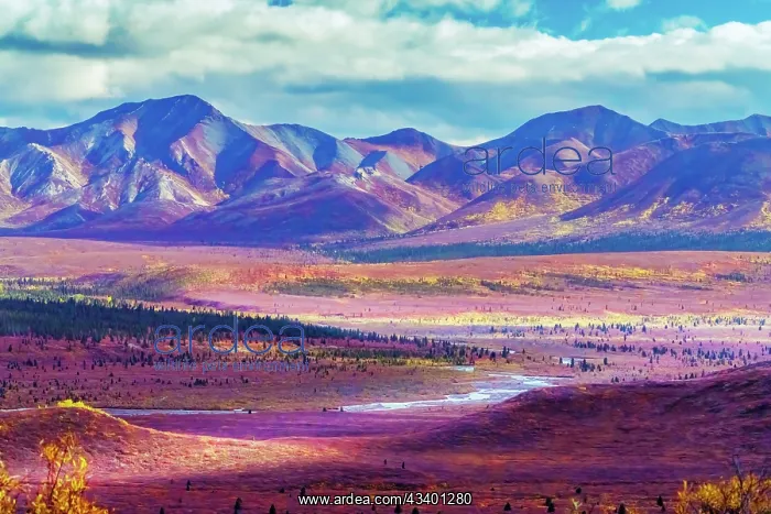 : Alaska, Denali National Park. Autumn landscape of : Alaska, Denali National Park. Autumn landscape of