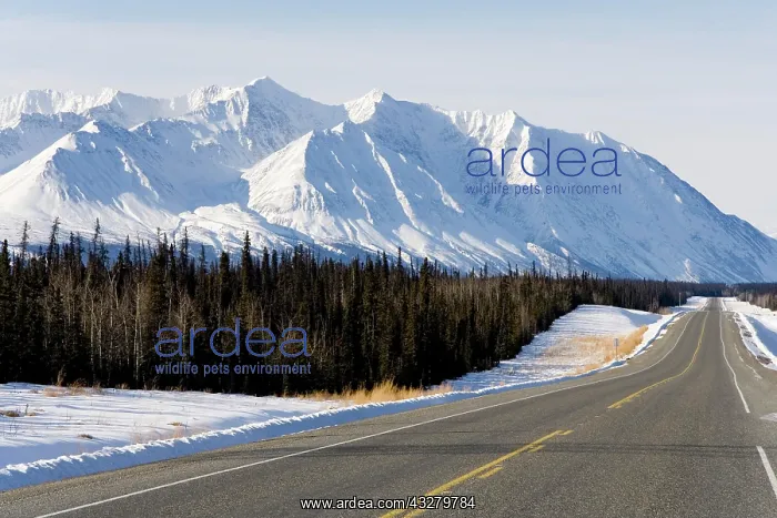 : Alaska Highway south of Haines Junction, St. Elias : Alaska Highway south of Haines Junction, St. Elias