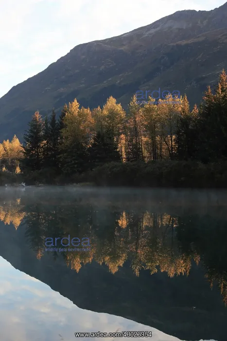 : Alaska lake with Autumn colour reflections : Alaska lake with Autumn colour reflections