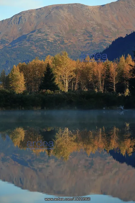 : Alaska lake with Autumn colour reflections : Alaska lake with Autumn colour reflections