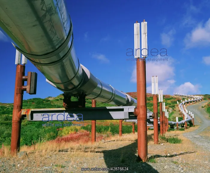 : Alaska oil pipeline : Alaska oil pipeline