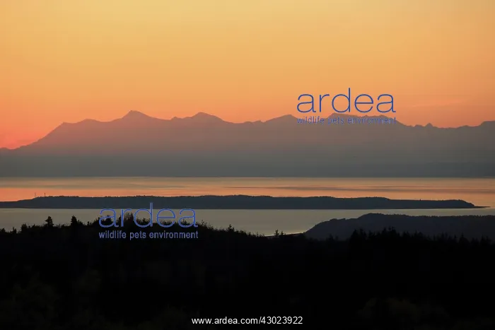 : Alaska view from Chugach State Park at Cook inlet : Alaska view from Chugach State Park at Cook inlet