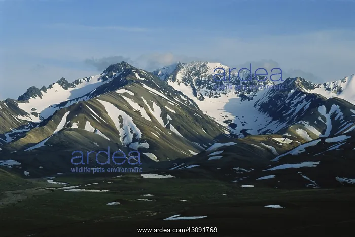 : Alaskan Glaciers : Alaskan Glaciers