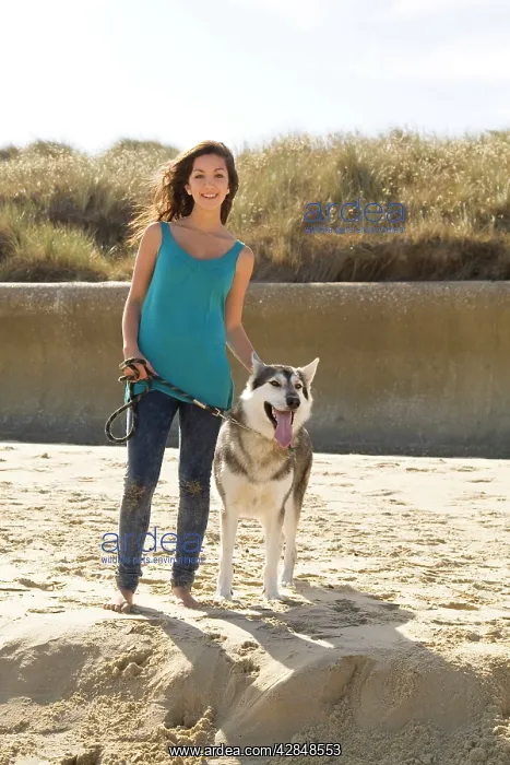 : Alaskan Malumute (cross) dog - with teenage girl : Alaskan Malumute (cross) dog - with teenage girl