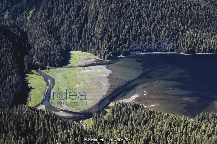 : Alaskan River Delta : Alaskan River Delta