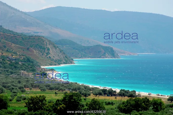  : Albania, Borsh Beach