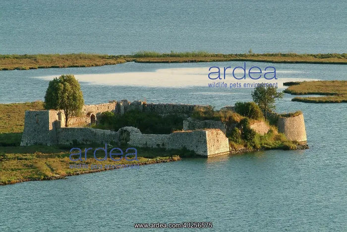 : Albania, Butrint, Butrint National park : Albania, Butrint, Butrint National park
