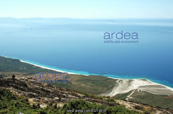 : Albania, Drymades beach near Dhermi on the : Albania, Drymades beach near Dhermi on the