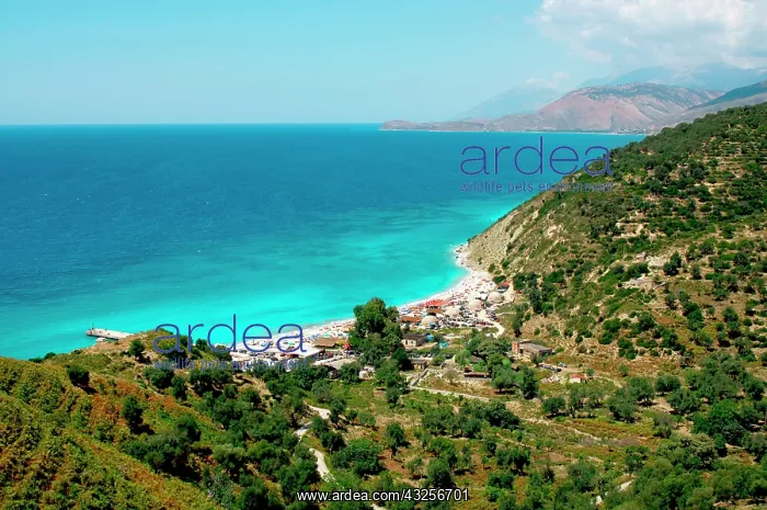 : Albania, Piqueras. Bunets beach : Albania, Piqueras. Bunets beach