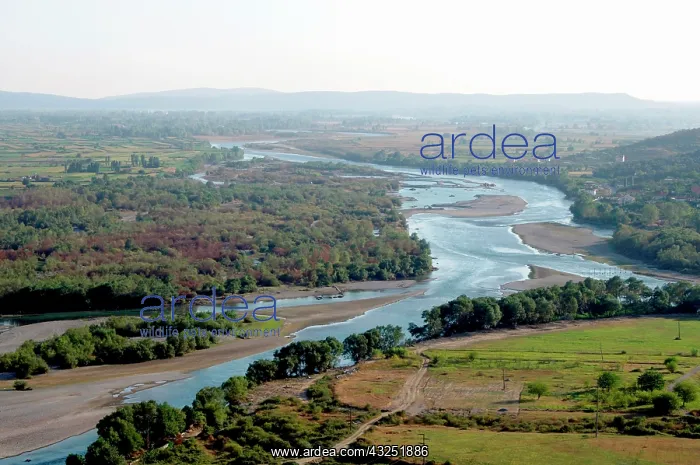  : Albania, Shkodra. Drinit and Kir river flowing