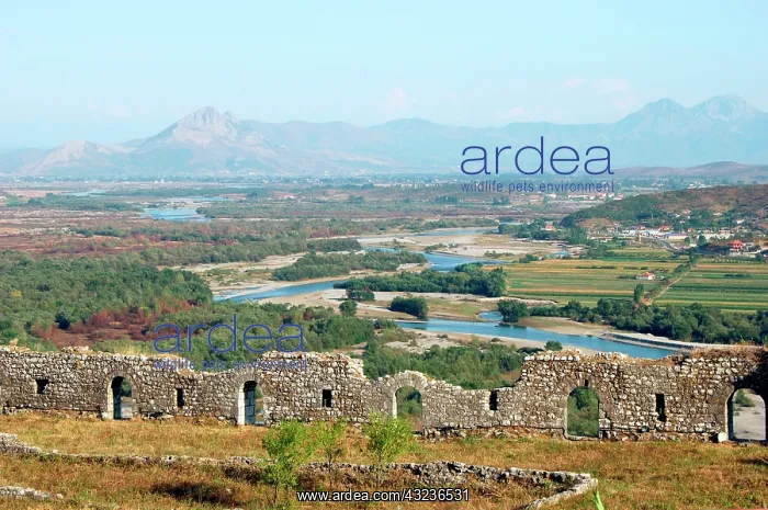 : Albania, Shkodra (Scutari). Castle Rozafa : Albania, Shkodra (Scutari). Castle Rozafa