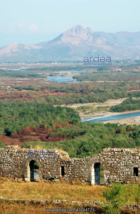 : Albania, Shkodra (Scutari). Castle Rozafa : Albania, Shkodra (Scutari). Castle Rozafa