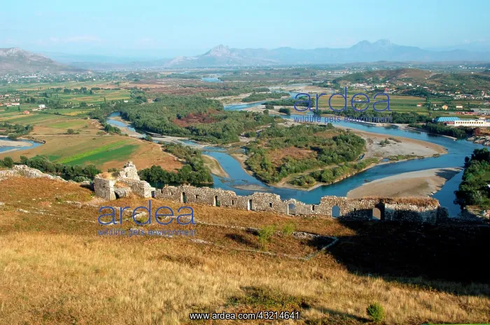: Albania, Shkodra (Scutari). Kir and Drinit : Albania, Shkodra (Scutari). Kir and Drinit