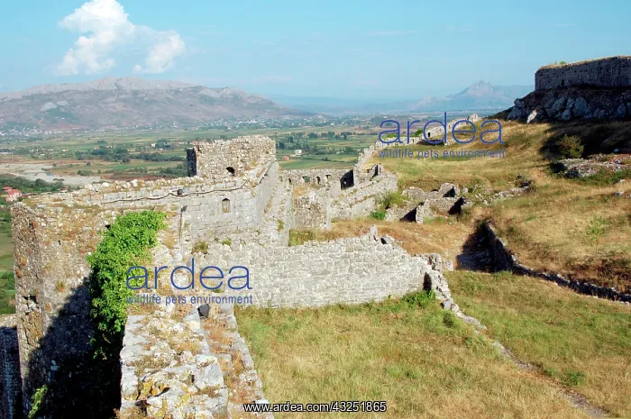 : Albania, Shkodra (Scutari). Rozafa Castle : Albania, Shkodra (Scutari). Rozafa Castle
