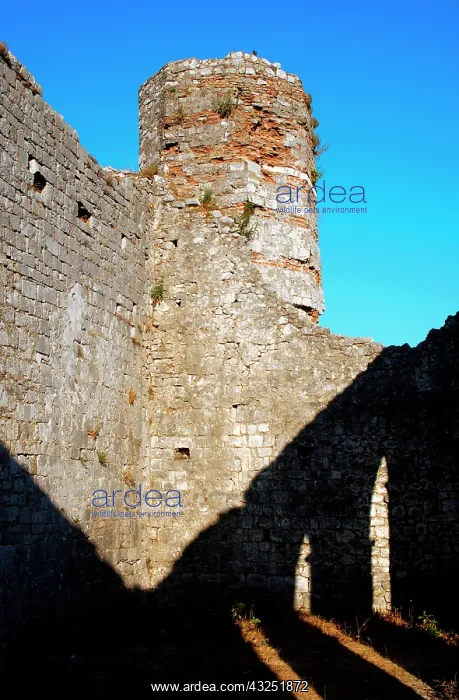 : Albania, Shkodra (Scutari). St. Stephen's : Albania, Shkodra (Scutari). St. Stephen's