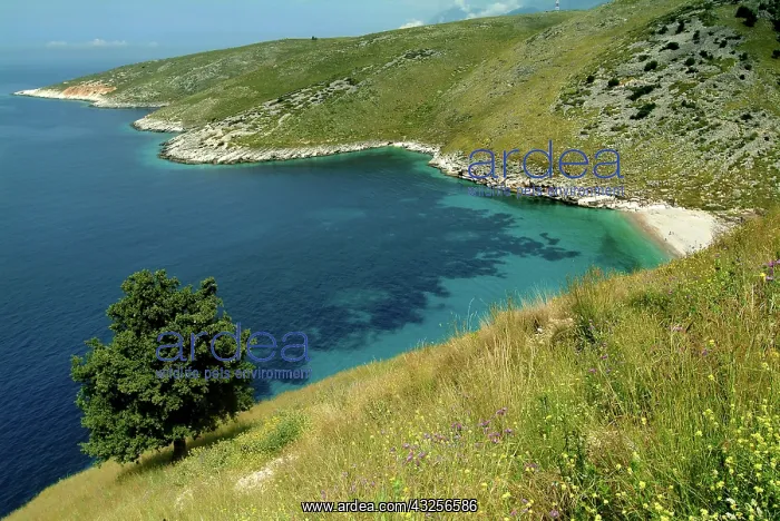: Albania, Sple bay : Albania, Sple bay