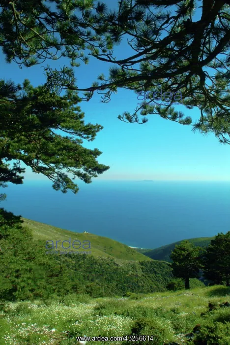 : Albania, Vlora, along the road towards Llogara : Albania, Vlora, along the road towards Llogara