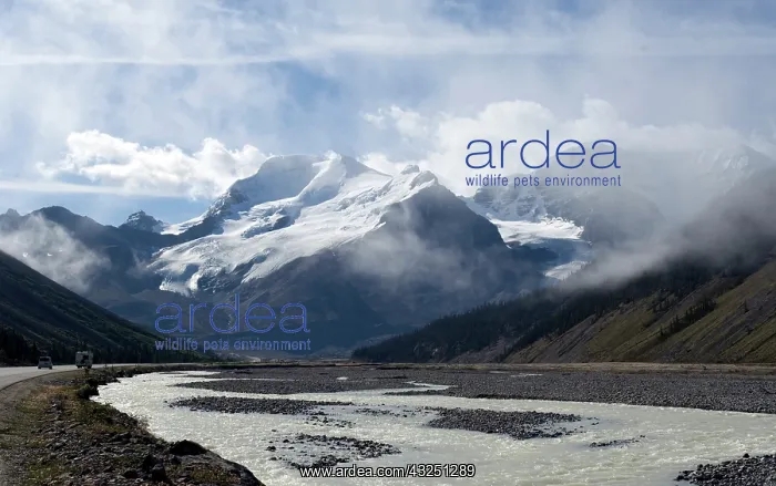 : Alberta, Canada: Columbia Ice Fields, Jasper : Alberta, Canada: Columbia Ice Fields, Jasper
