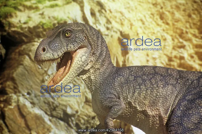 : Albertosaurus in valley : Albertosaurus in valley
