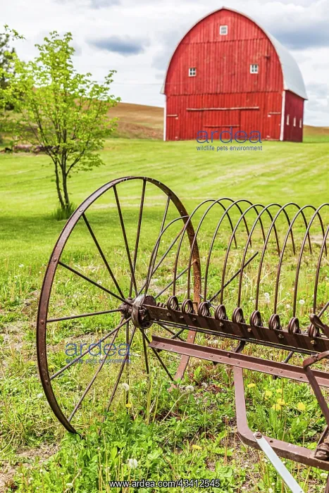 : Albion, Washington State, USA. Red barns and antique : Albion, Washington State, USA. Red barns and antique