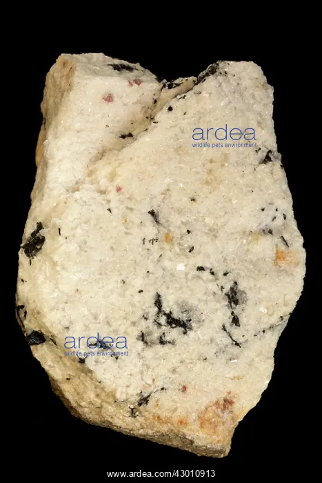 : Albite Aplite : Albite Aplite