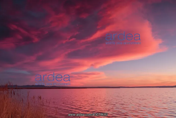  : Albufera sunset