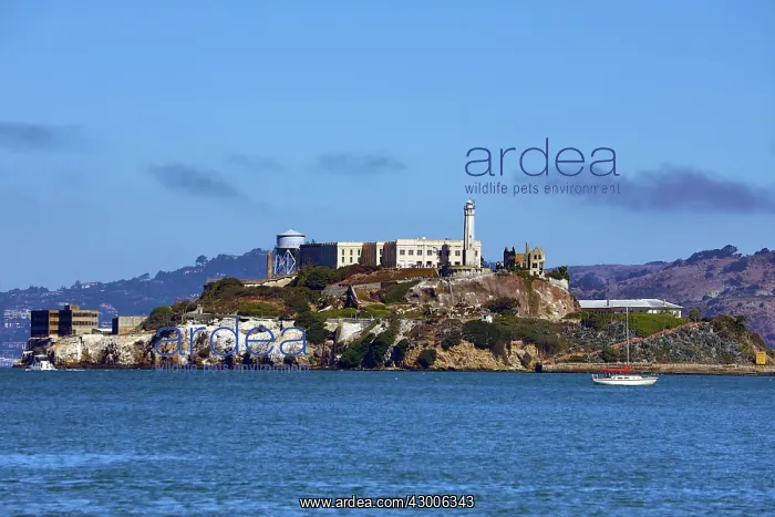 : Alcatraz Island and Prison in San Franciso, California, USA : Alcatraz Island and Prison in San Franciso, California, USA