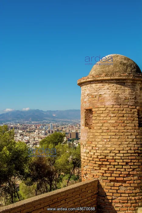 : Alcazaba and Castle of Gibralfaro on Mount Malaga above the : Alcazaba and Castle of Gibralfaro on Mount Malaga above the