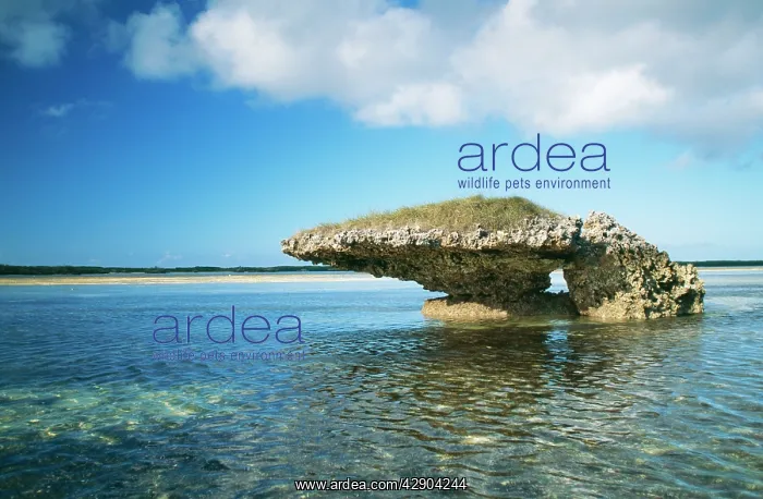 : ALDABRA - CHAMPIGNON LAGOON : ALDABRA - CHAMPIGNON LAGOON