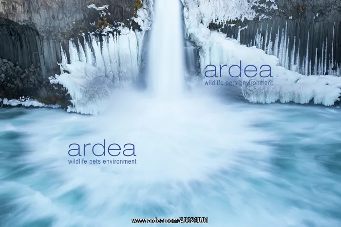 : Aldeyjarfoss waterfall situated on the Skjalfandafljot : Aldeyjarfoss waterfall situated on the Skjalfandafljot