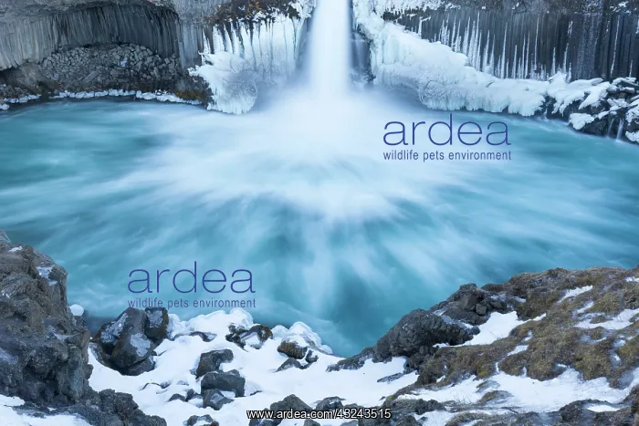 : Aldeyjarfoss waterfall situated on the Skjalfandafljot : Aldeyjarfoss waterfall situated on the Skjalfandafljot