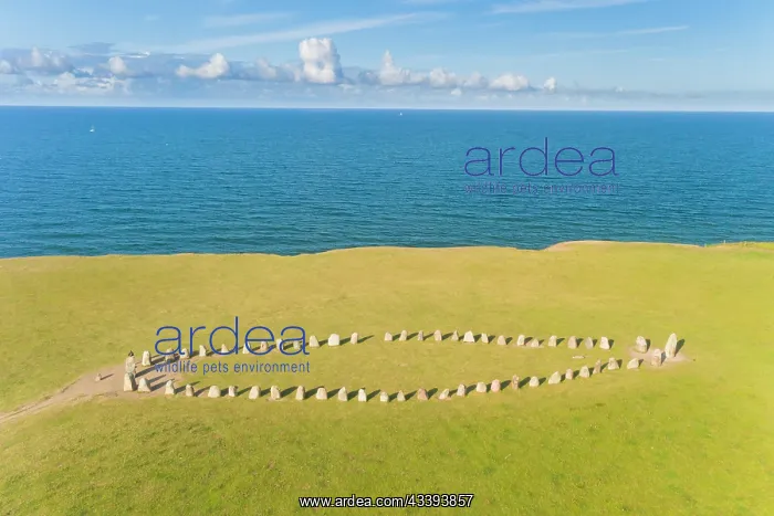 : Ales stenar : Ales stenar