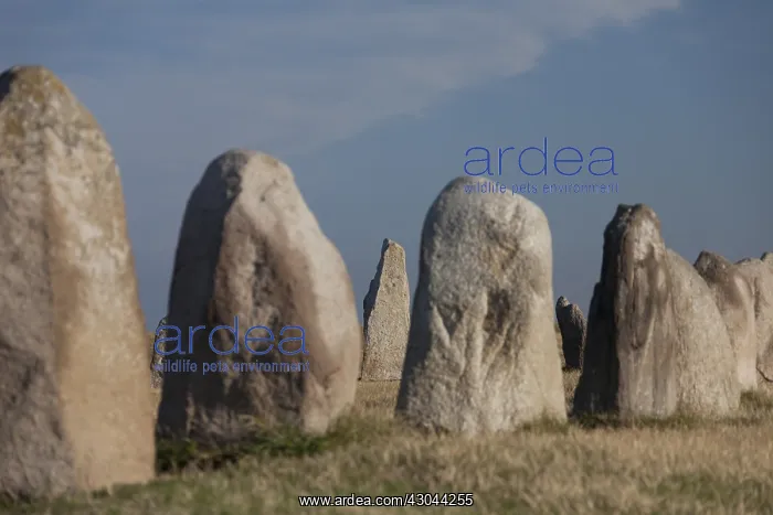 : Ales stenar, megalithic stone oval monument representing : Ales stenar, megalithic stone oval monument representing