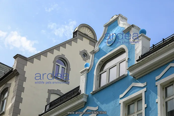 : Alesund, Norway. Art deco architecture, painted historic : Alesund, Norway. Art deco architecture, painted historic