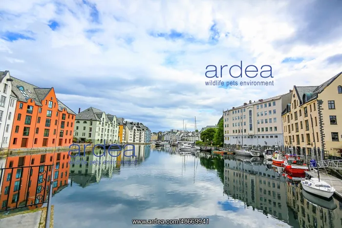 : Alesund, Norway. Colorful painted buildings and marina : Alesund, Norway. Colorful painted buildings and marina