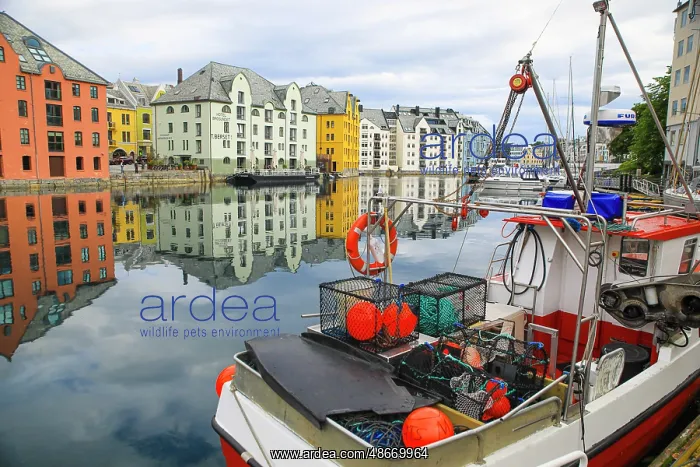 : Alesund, Norway. Fishing boat and canal water reflection : Alesund, Norway. Fishing boat and canal water reflection