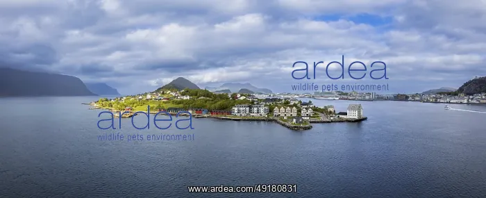 : Alesund, port town in Norway famous for Art Nouveau architecture : Alesund, port town in Norway famous for Art Nouveau architecture